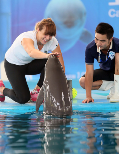 现了全面的 现了全面的