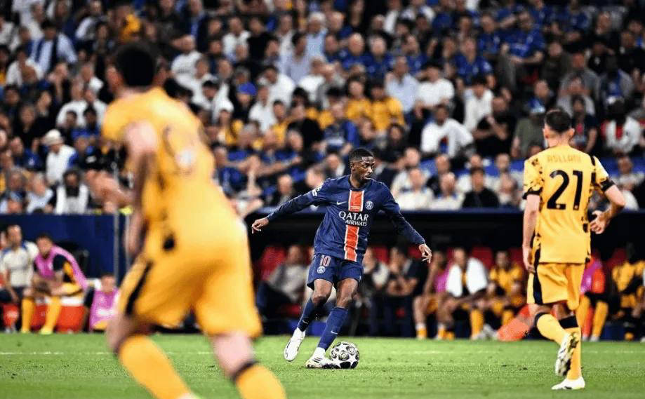 素质和稳定 素质和稳定